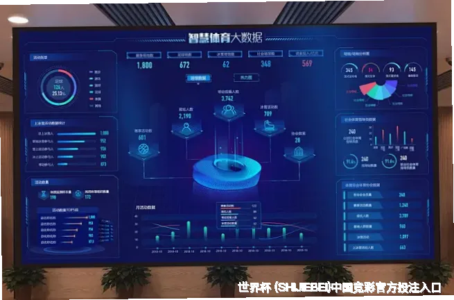 历史命中率展示